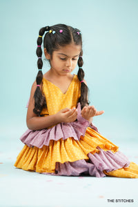 Veena Mini (Reversible)