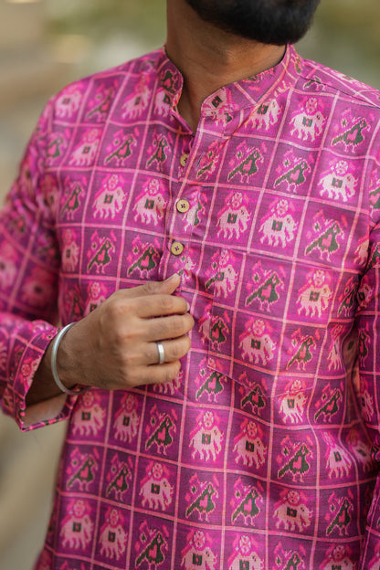 Arsh - Pink Ikat Motifs